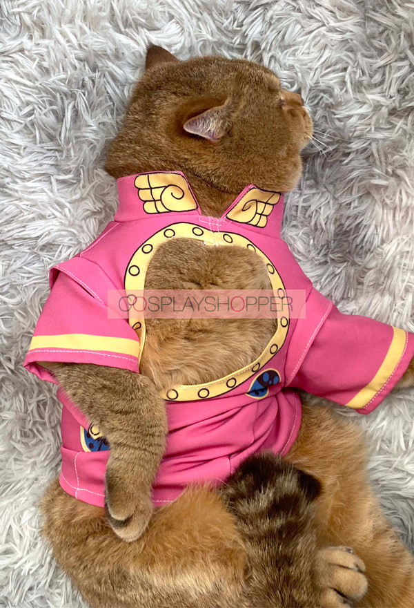 JoJo's Bizarre Adventure: Golden Wind Giorno Giovanna Cat Costume Pet